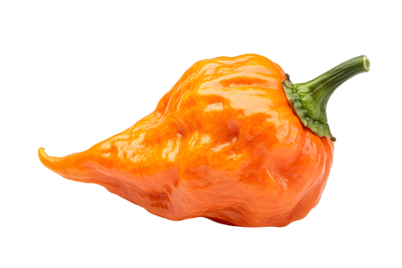 Wrinkled surface of a fresh 7 Pot chili pepper known for extreme heat